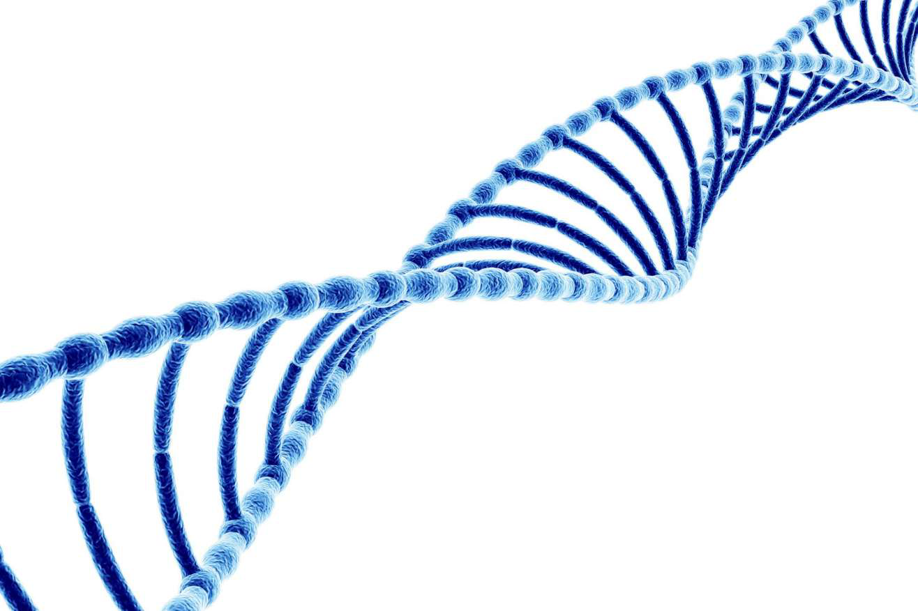 DNA double helix illustration representing peptide research at CoreyPauling